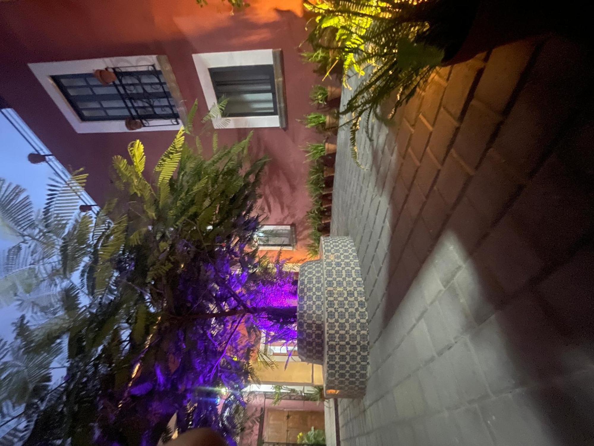 グアダラハラ Quinta La Perlaホステル エクステリア 写真