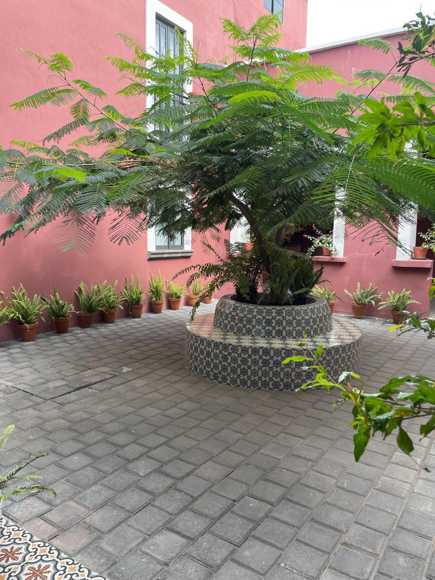 グアダラハラ Quinta La Perlaホステル エクステリア 写真